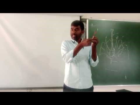 10thReproduction chapter Activity : Dissection of Hibiscus Flower.