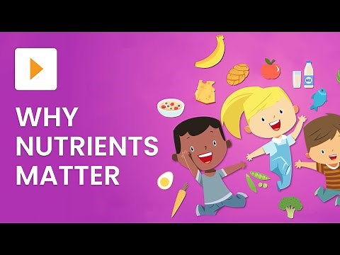 Food Groups And Nutrition