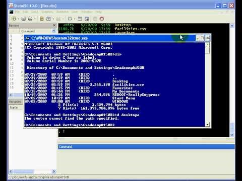 Stata - Tutorial on the basics