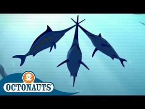 Octonauts - Aboard the Swordfish Seaship | Cartoons for Kids | Underwater Sea Education