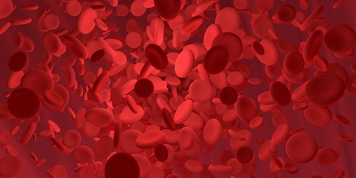 RBC Normal Range: What is the Normal Count, its Cost in India