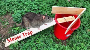 Easiest Make A Mouse Trap With PVC Water Pipe | DIY Rat Trap