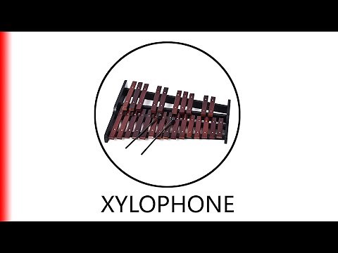 XYLOPHONE.