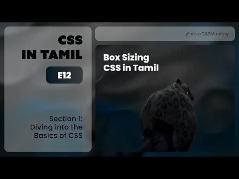 E12: Box Sizing | Diving into the Basics of CSS | CSS In Tamil