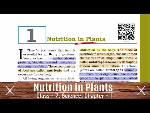 CLASS 7 SCIENCE | CHAPTER 1 [NCERT] Nutrition in Plants