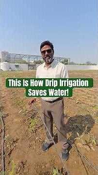 The BEST Way to Save Water with Drip Irrigation System