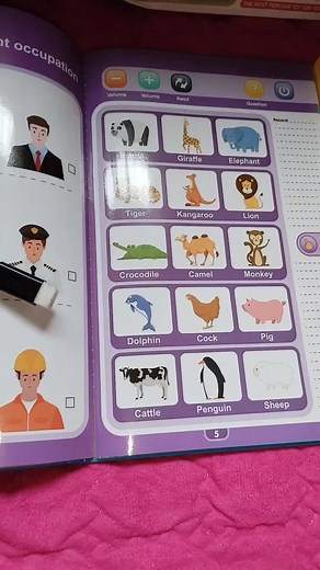 Intelligence book for genius baby includes alphabet, phonetic learning, numbers, fruits, animals, transpprtation, family, musical instrument, puzzle and fun activity with parent . #parentchildinteraction #geniusbaby #advancelearning #intellegencebook #intellectuallearningbook