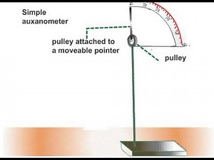 Using a Auxanometer to Measure Growth Rate of a Shoot