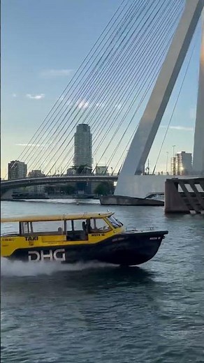 The best view of the famous Erasmus Berg bridge in Rotterdam
