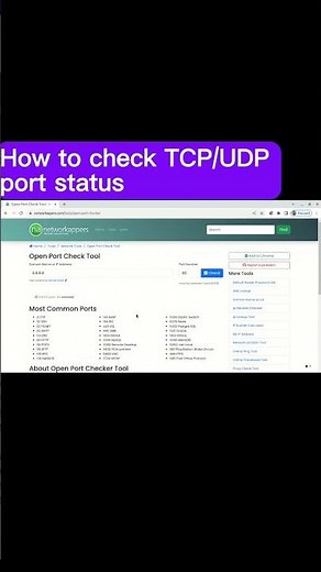 How to check TCP/UDP port status?