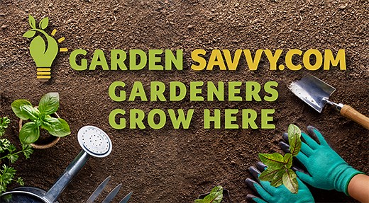 Garden Planner | Hortisketch | Garden Savvy