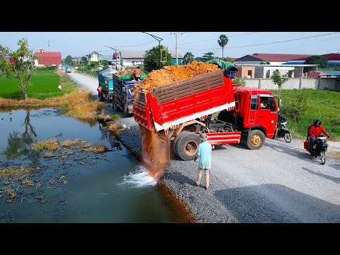 First Start a New Landfill Project! Using Bulldozer Pushing Soil with Dump Truck 5Ton Unloading Soil