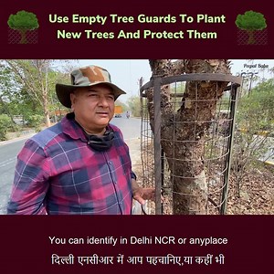 Use empty tree guards to plant new trees and protect them | Give Me Trees Trust