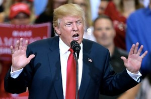 Did Trump Say Wildfires Are Caused by Exploding Trees?