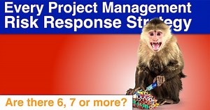 Risk Response Strategies: Full & Revised Roundup