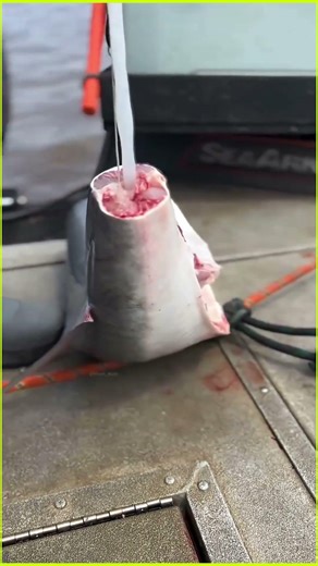 He pulls a white string from the fish… but what is it? 😳🐟 #facts
