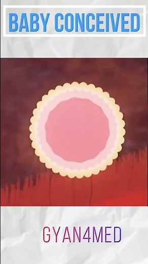Fertilization: How is a baby conceived?