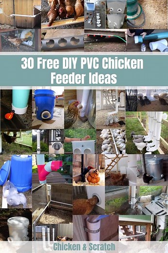 32 DIY PVC Chicken Feeder Ideas – DIY this Weekend