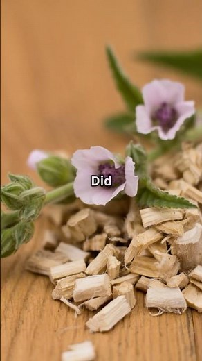 Marshmallow Root: Nature’s cure for everything?