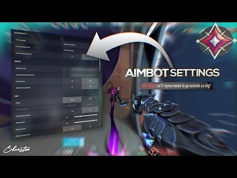 THE SECRET *AIMBOT* SETTINGS IN VALORANT