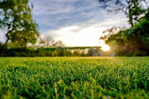 What Is Slit Seeding? (And How to Slit Seed Your Lawn)