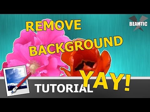 How to Remove a Background in Paint.NET