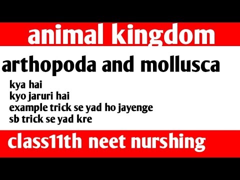 Arthropoda और Mollusca क्या हैं? | Features, Examples & Differences