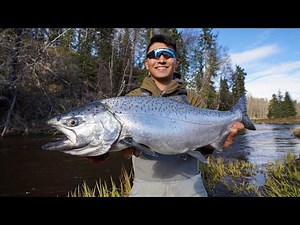 Alaska King Salmon Fishing a Tiny Creek! (CATCH CLEAN COOK)