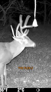 615 reactions · 6 comments | Get an extra set of eyes scouting for you this season. Save with SPYPOINT's biggest sale of the year so far—on now! | SPYPOINT Trail Cameras | Facebook