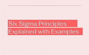 Six Sigma Principles Explained with Examples | ProjectPractical.com