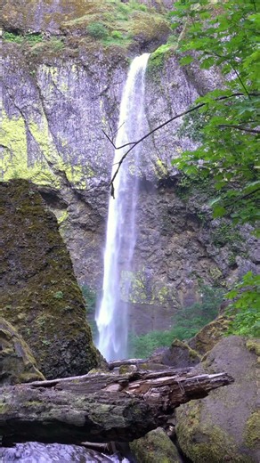 Elowah Falls | 4K Nature Ambience | Columbia River Gorge Oregon | PNW Relaxation Nature Sounds