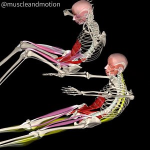 Muscle and Motion on Instagram: "TRADITIONAL SITUP Vs MODIFIED BENT-KNEE SIT-UP📣 Introducing sit-ups to your workouts is one way to help boost your core strength. These abs exercises can be performed without equipment, which means you can do them anywhere, whether in or out of the gym. Today we will discuss two sit-up variations and their biomechanical differences and EMG activation. The Traditional Sit-Up ⬇️ In this exercise, your legs are flat on the ground. When performing this sit-up, your 