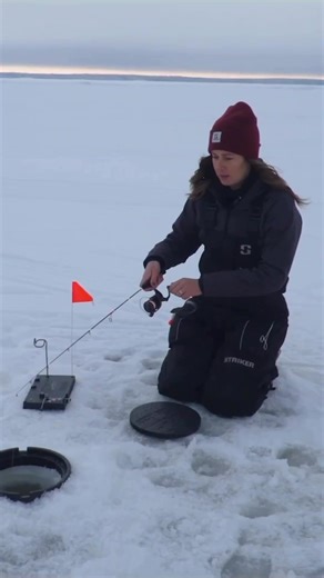 7.3K views · 51 reactions | P-line 4 lb HP Ice Line in action  : Sportsman's Journal TV #plinefishing #bassfishing #fishon #fishing #icefishing #walleye | P-Line | Facebook