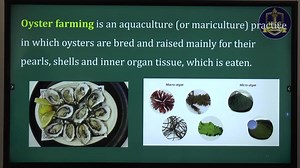 7.6K views · 496 reactions | Grade-12 Biology 離 Textbook Page-9...