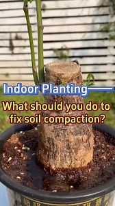 165K views · 706 reactions | Fix compacted soil. #gardening | Ramos Mark | Facebook