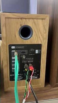 How to connect a passive & active speaker to your integrated amp with the Triangle BR04 & Br02