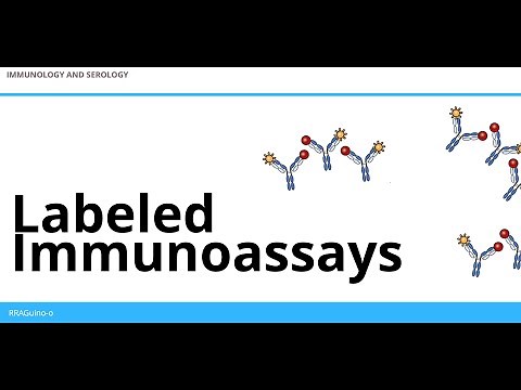 Labeled Immunoassays | An Overview