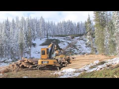 CAT Logging Video