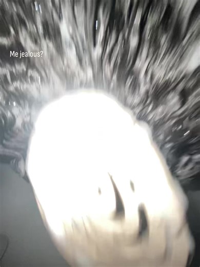 Understanding Jealousy in Relationships