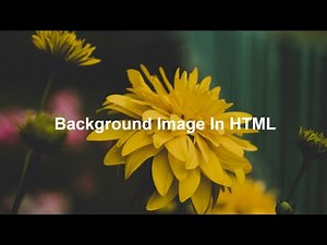 How To Add Background Image In HTML and CSS | HTML & CSS For Beginners
