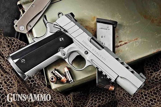 TISAS 1911 Nightstalker: Full Review - Guns and Ammo