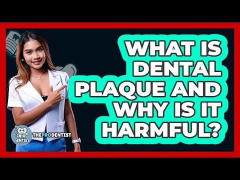 What Is Dental Plaque And Why Is It Harmful? - The Pro Dentist