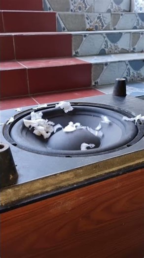 Subwoofer Showdown Testing the Deepest Bass of a 12-inch Bose Speaker (Room Shaker!) #nghia #dj