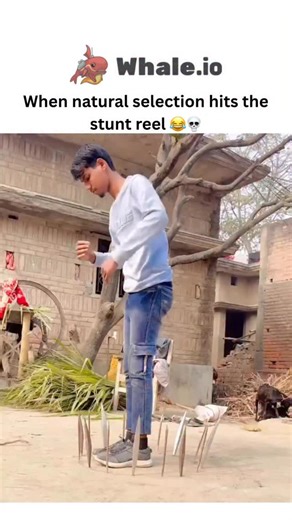 Sxrface ☠️ on Instagram: "- The post features a 18-second video of a young man in rural India attempting a stunt by jumping over stools embedded with sharp spikes, resulting in a severe fall and apparent leg injury, as bystanders and an ambulance respond. - Shared by @RestrictedReels, an account specializing in edgy, sensitive viral clips, the post garnered over 900,000 views and 12,000 likes within two days, reflecting high interest in fail compilations. - Replies predominantly mix dark humor a