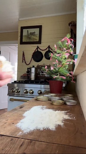 Canning lid ring pies. One of my favorite Thanksgiving desserts - you can make mini apple, peach or cherry pies…or just make little chocolate pies like I did here! 🥧 #countrycooking #countryliving #countrylife #farmlife #fromscratchcooking #slowliving | Angel Rose Turner
