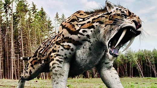Saber-Toothed Tiger of North America | Science Facts