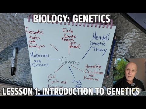 Genetics Lesson 1, Introduction to the Genetics Unit