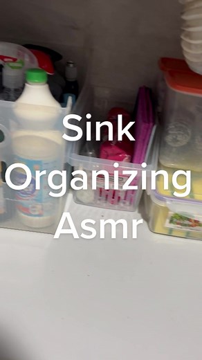 Cleaning Supplies Organization Under Kitchen Sink