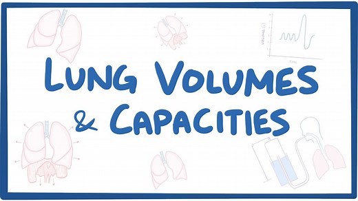 Lung volumes and capacities: Video, Causes, & Meaning | Osmosis