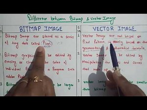 Difference between BITMAP and VECTOR Image||बिटमैप इमेज एवम वेक्टर इमेज में अंतर हिंदी में ||
